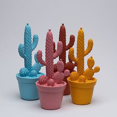Balloon Cactus