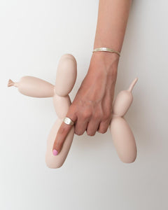 Matt Balloon Dog