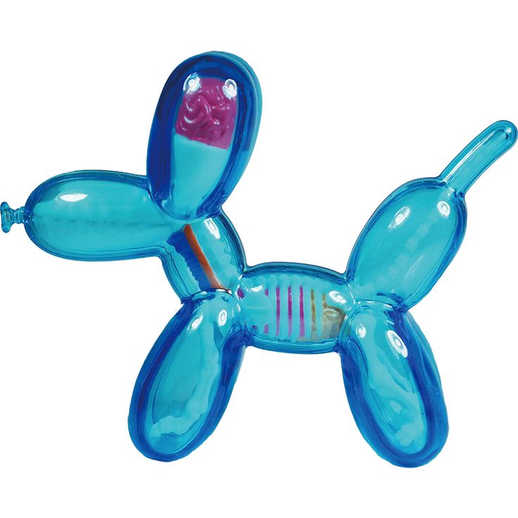 Anatomy Balloon Dog