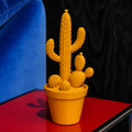 Balloon Cactus