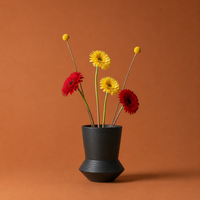 Frostd vase