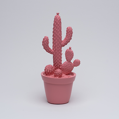 Balloon Cactus