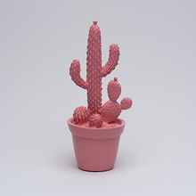 Load image into Gallery viewer, Balloon Cactus
