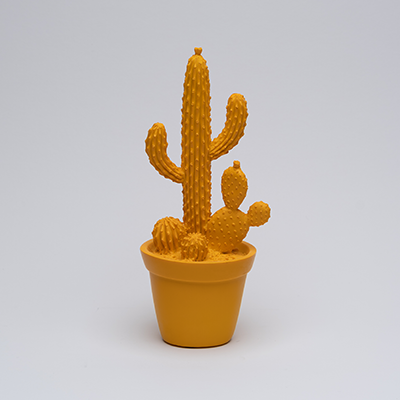 Balloon Cactus
