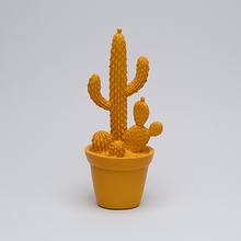 Load image into Gallery viewer, Balloon Cactus