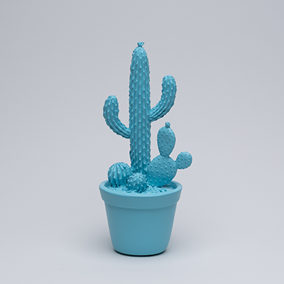 Balloon Cactus