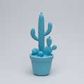 Balloon Cactus