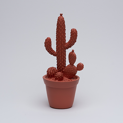 Balloon Cactus